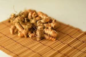 Turmeric root