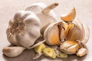 Garlic bulb