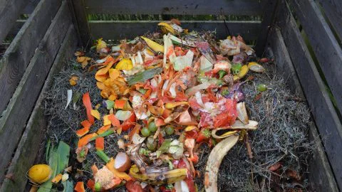 Composting