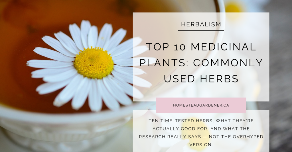 medicinal plants