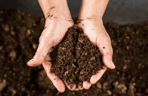 Loamy Soil