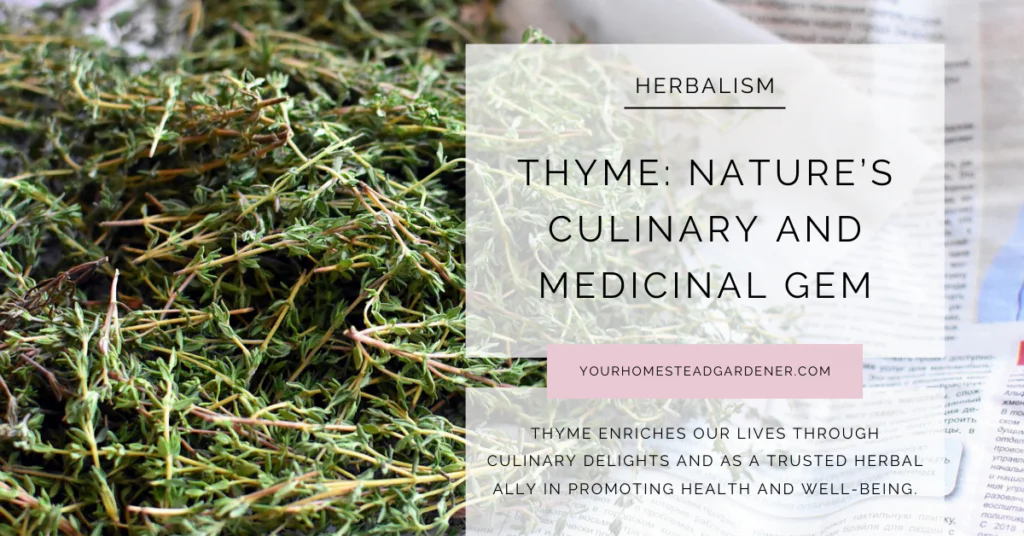 Thyme