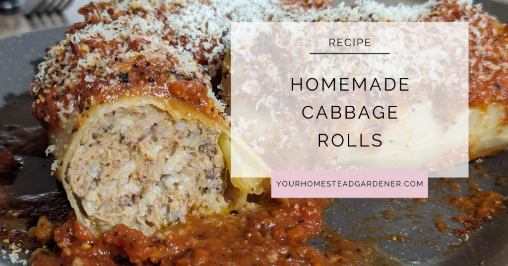 Cabbage Rolls