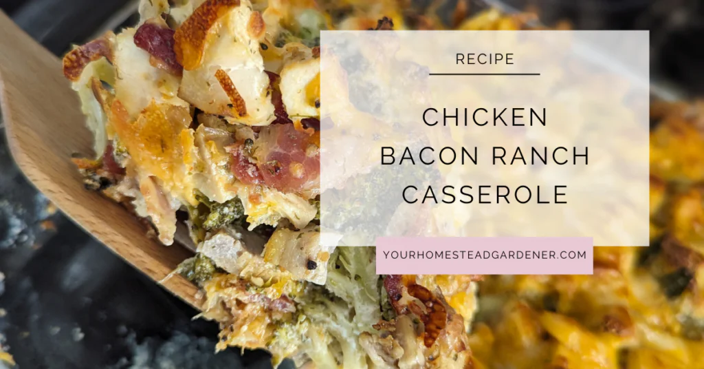 Chicken Bacon Ranch