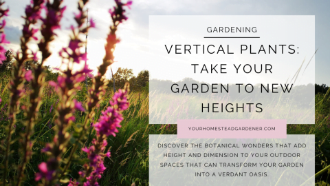 Vertical Plants