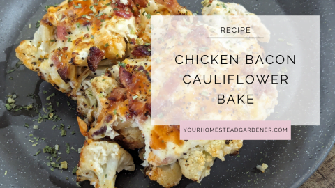 Chicken Bacon Cauliflower Bake