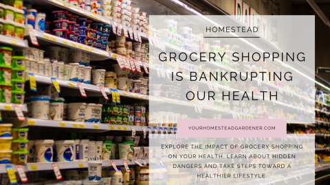 Grocery Shopping