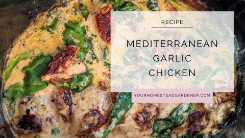 Mediterranean Garlic Chicken