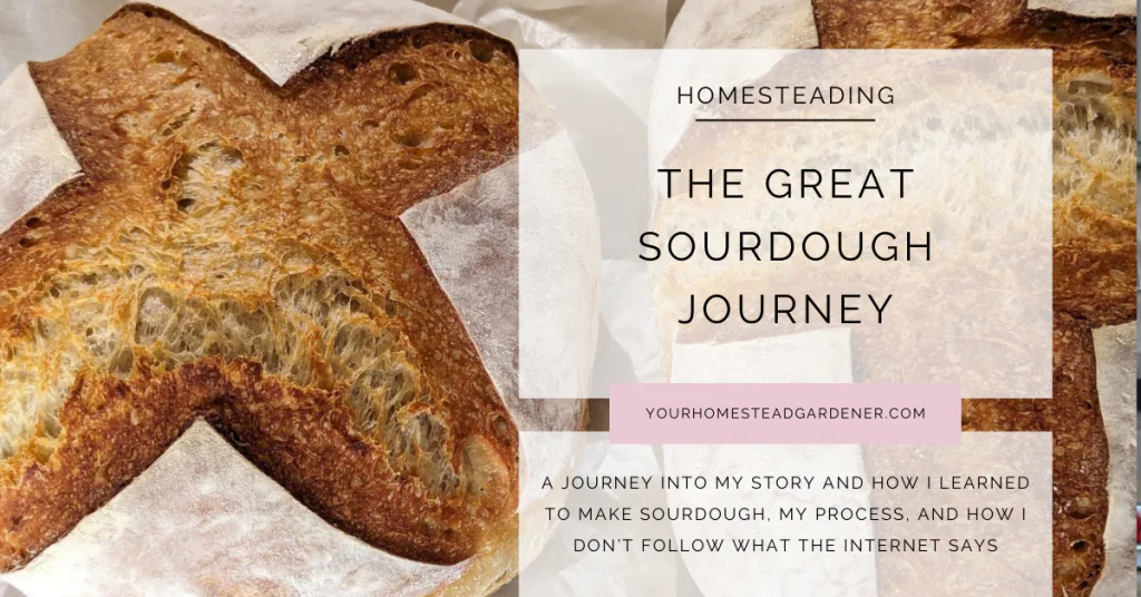 Great Sourdough Journey