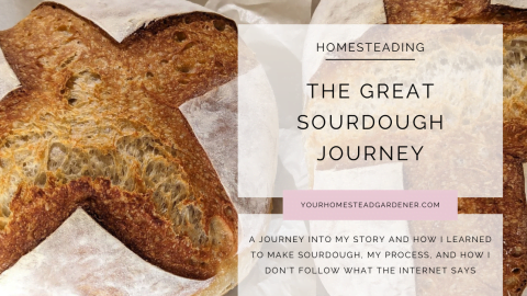 Great Sourdough Journey