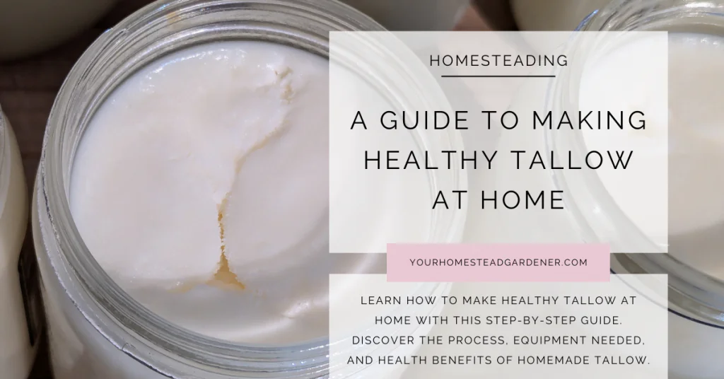 How to make healthy tallow at home