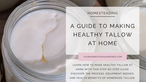 How to make healthy tallow at home