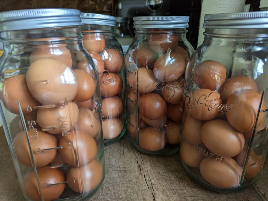 Water Glassed Eggs