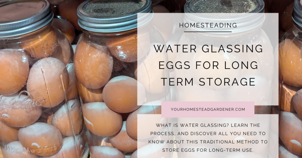Water Glassing Eggs for Long-Term Storage