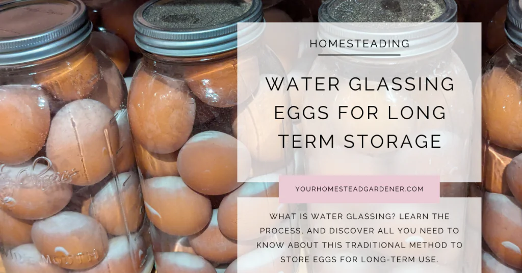 Water Glassing Eggs for Long-Term Storage