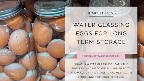 Water Glassing Eggs for Long-Term Storage