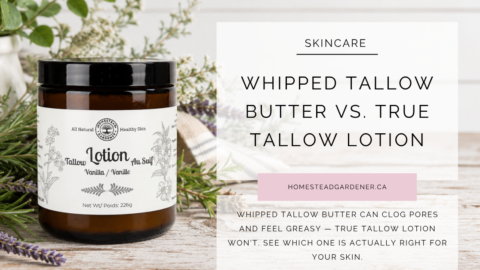Tallow Butter vs Tallow Lotion