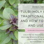 Tulsi Holy Basil