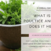 What is a poultice