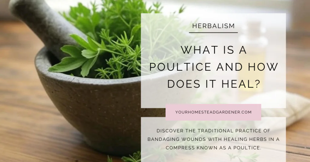What is a poultice
