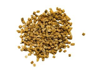 Astragalus
