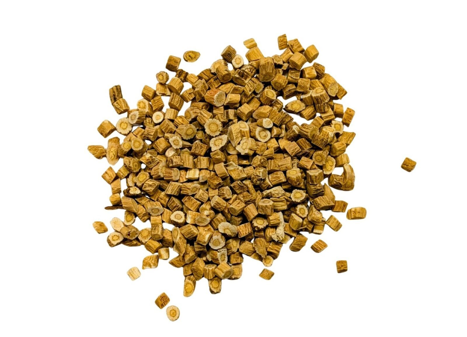 Astragalus