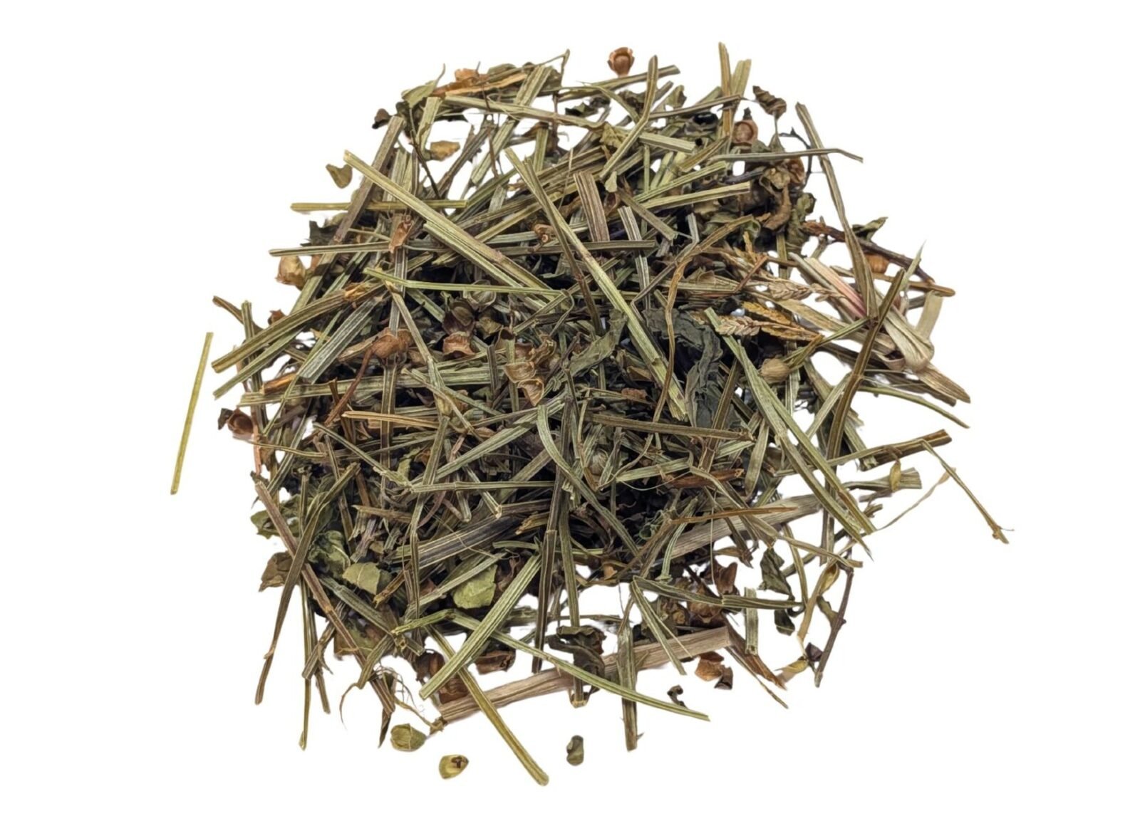 Chinese Skullcap