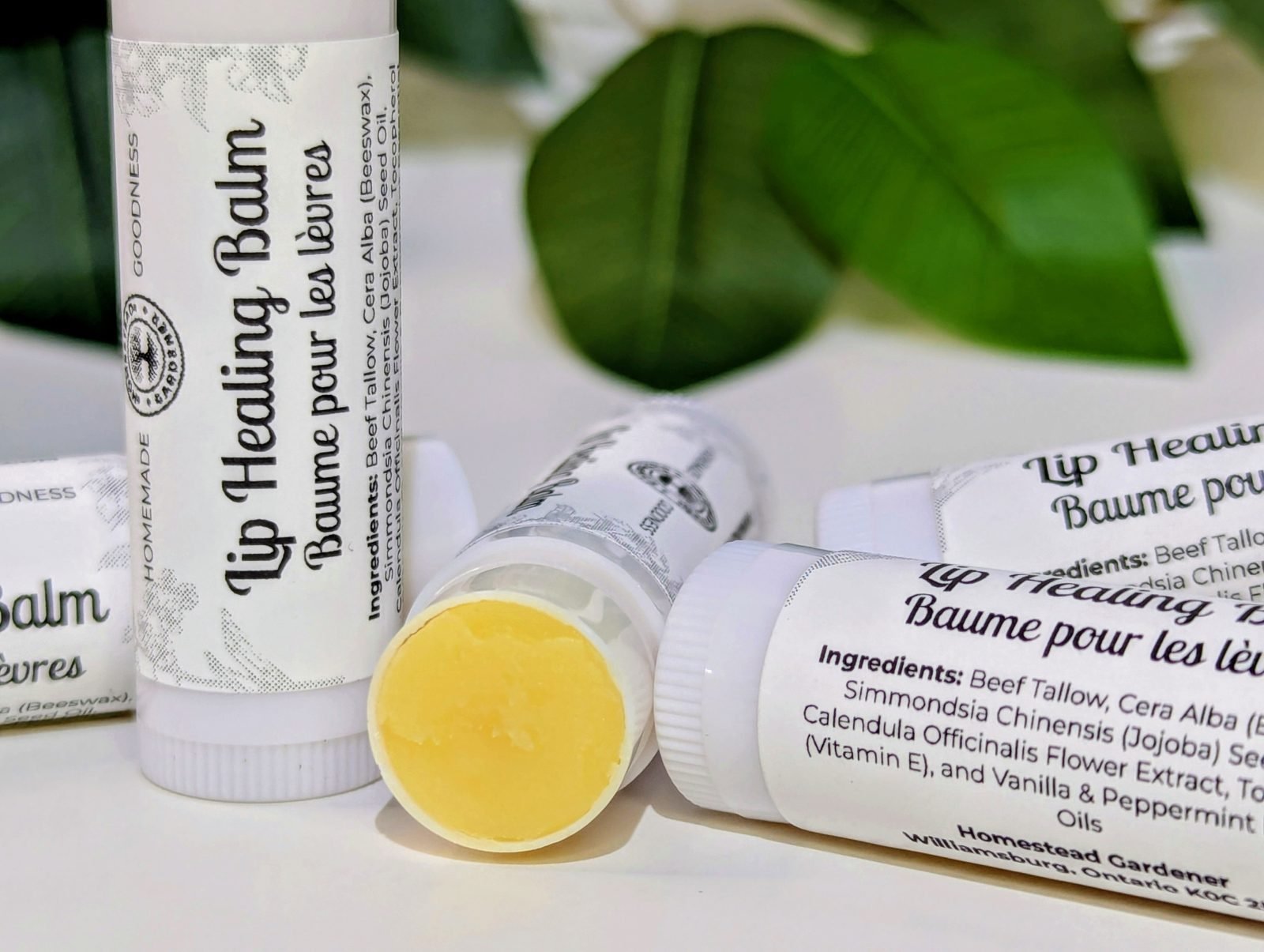 Tallow Lip Balm