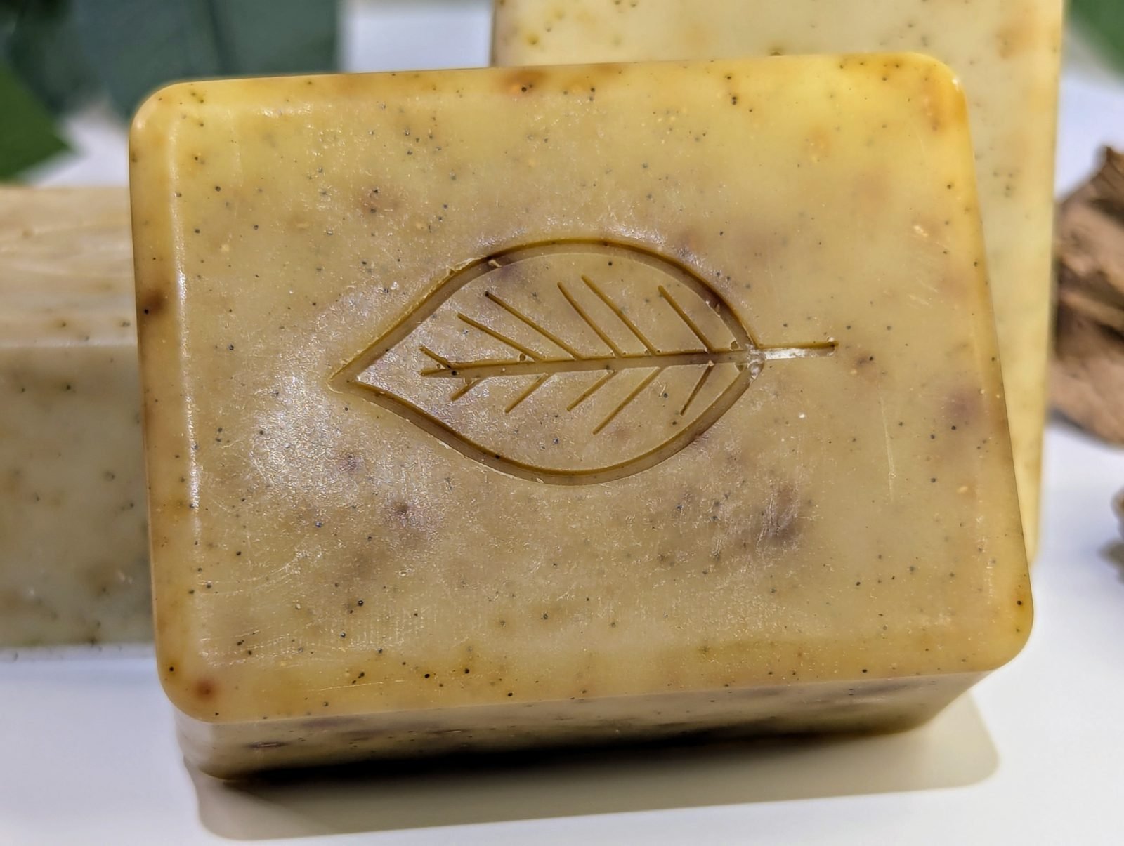 Blushwood - Tallow Soap - Image 5