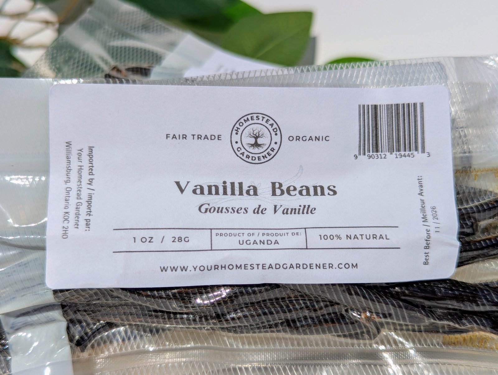 Premium Vanilla Beans - 1oz - Image 4