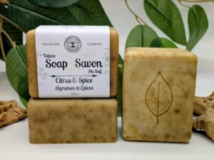 Citrus & Spice - Tallow Soap