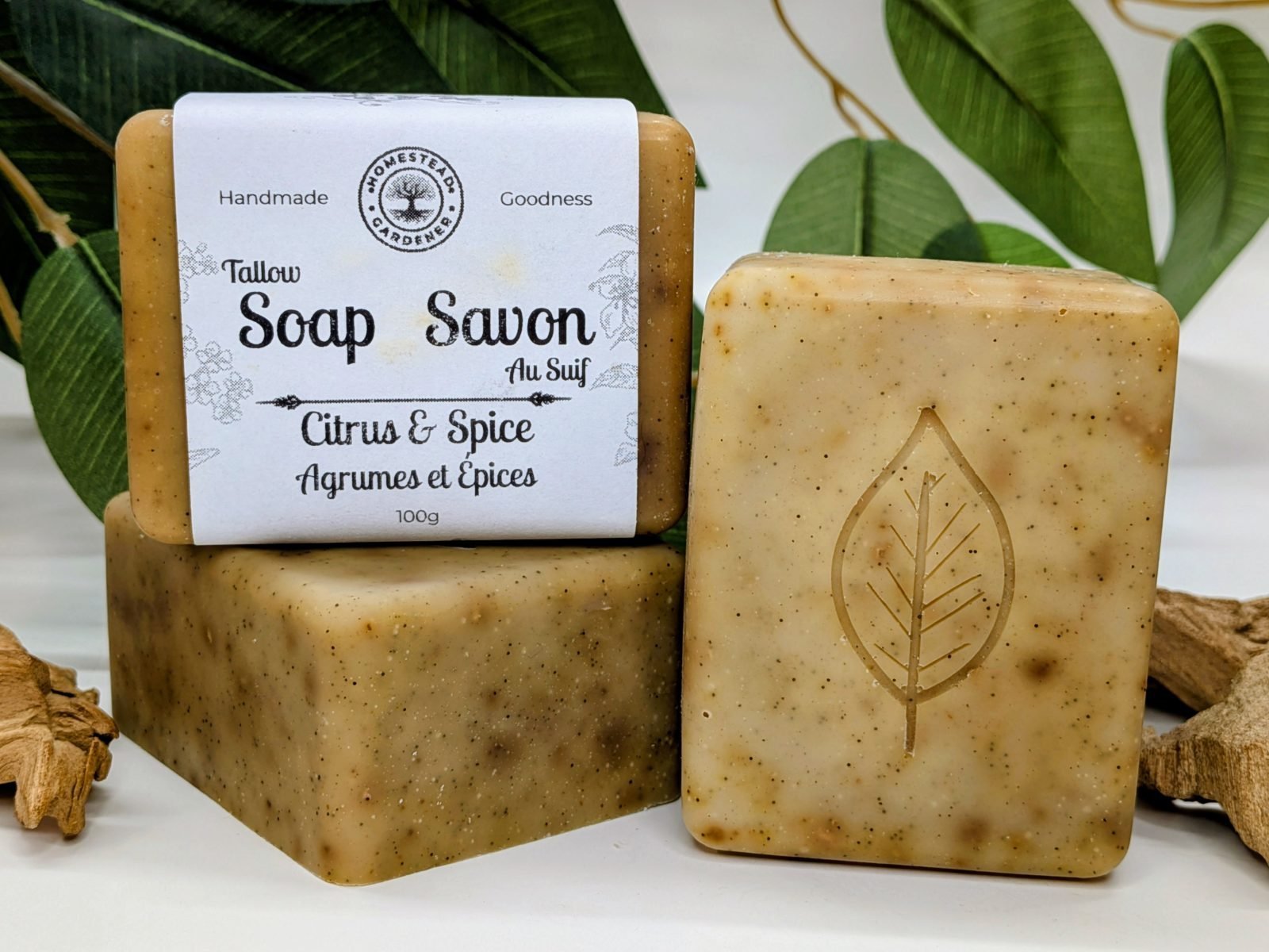 Citrus & Spice - Tallow Soap - Image 2
