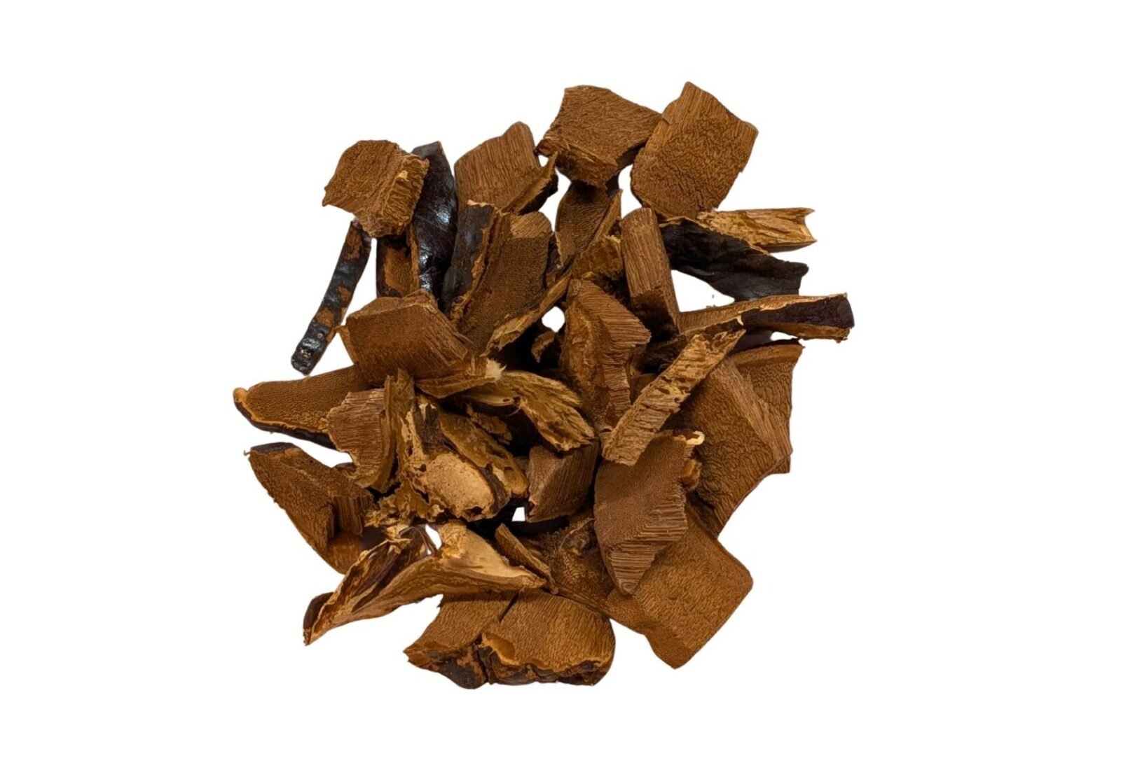 Reishi Mushroom