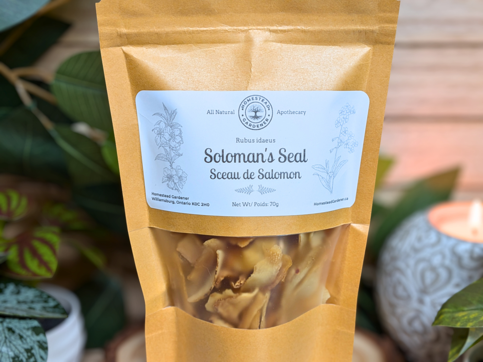 Solomon's Seal - Image 2