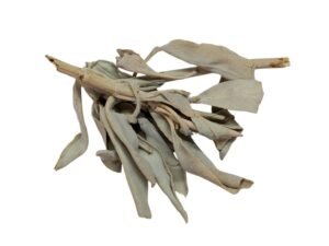 White Sage (Ceremonial)