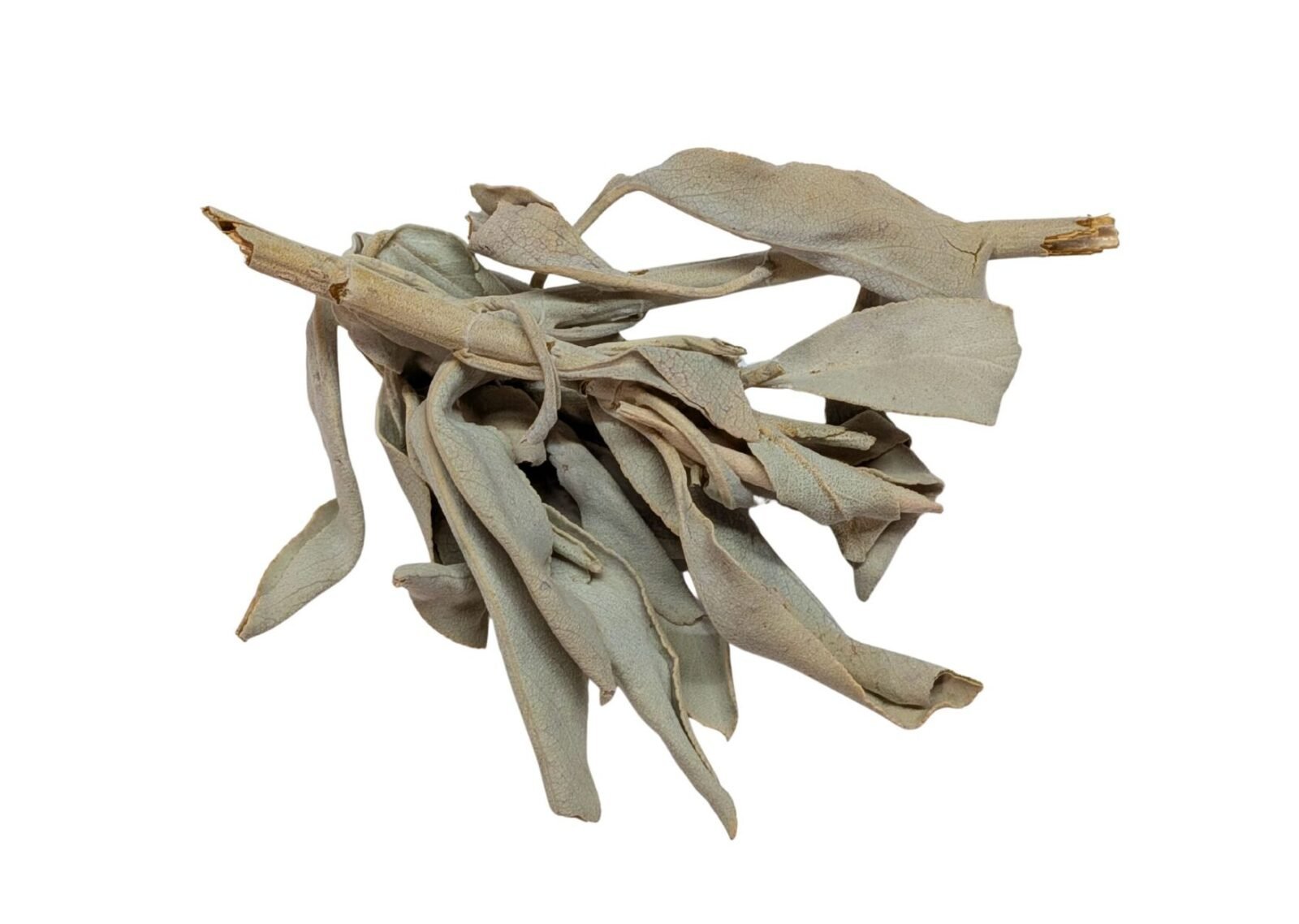 White Sage (Ceremonial)