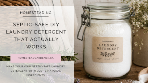 Septic-Safe DIY Laundry Detergent