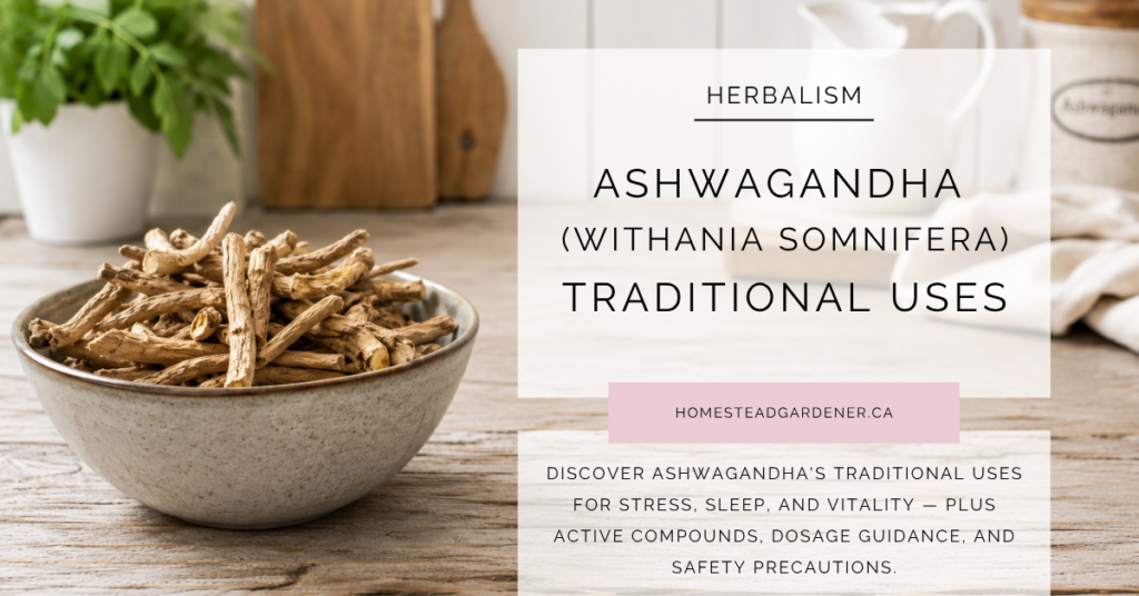 Ashwagandha: Benefits, Uses & Safety Guide