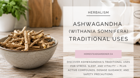 Ashwagandha: Benefits, Uses & Safety Guide