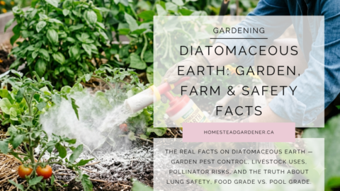 diatomaceous earth garden