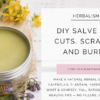 herbal salve recipe