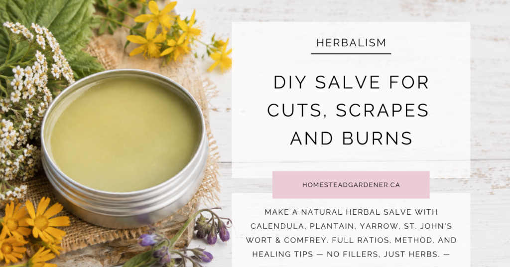 herbal salve recipe