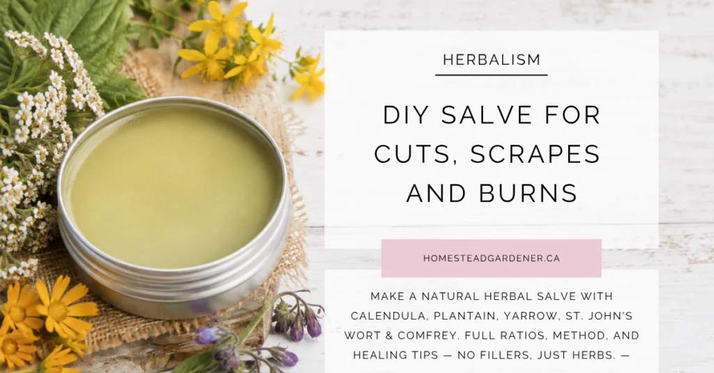 herbal salve recipe