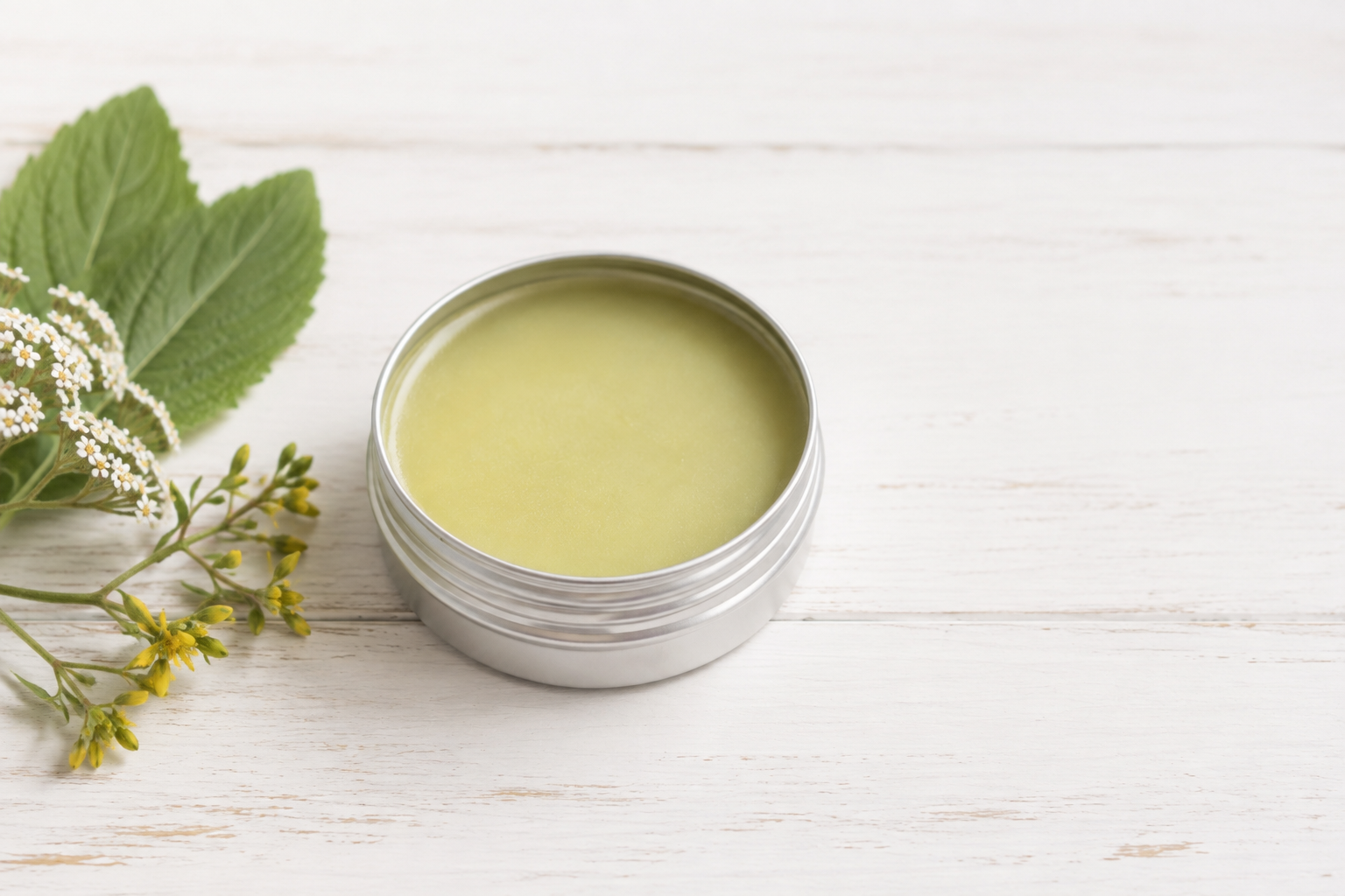 Herbal salve recipe in a small tin surrounded by dried calendula and plantain