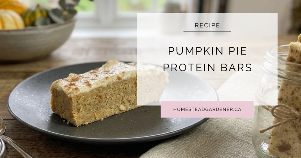 Pumpkin Pie Protein Bars