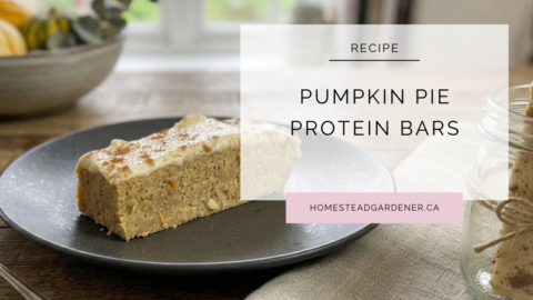 Pumpkin Pie Protein Bars