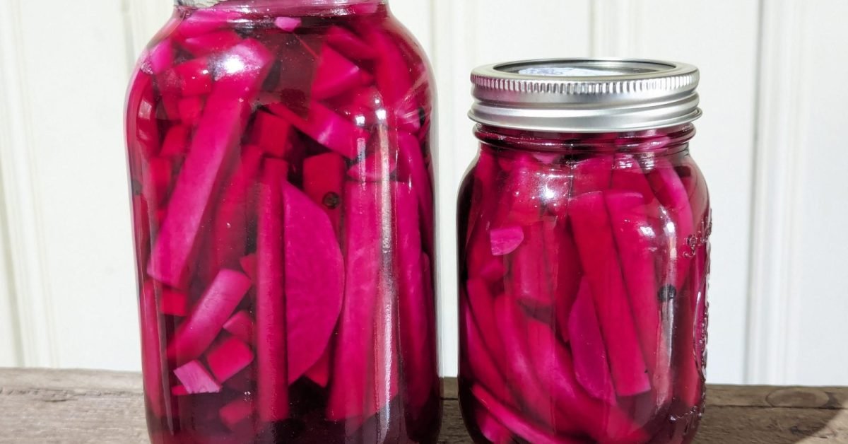 Pickled Turnips