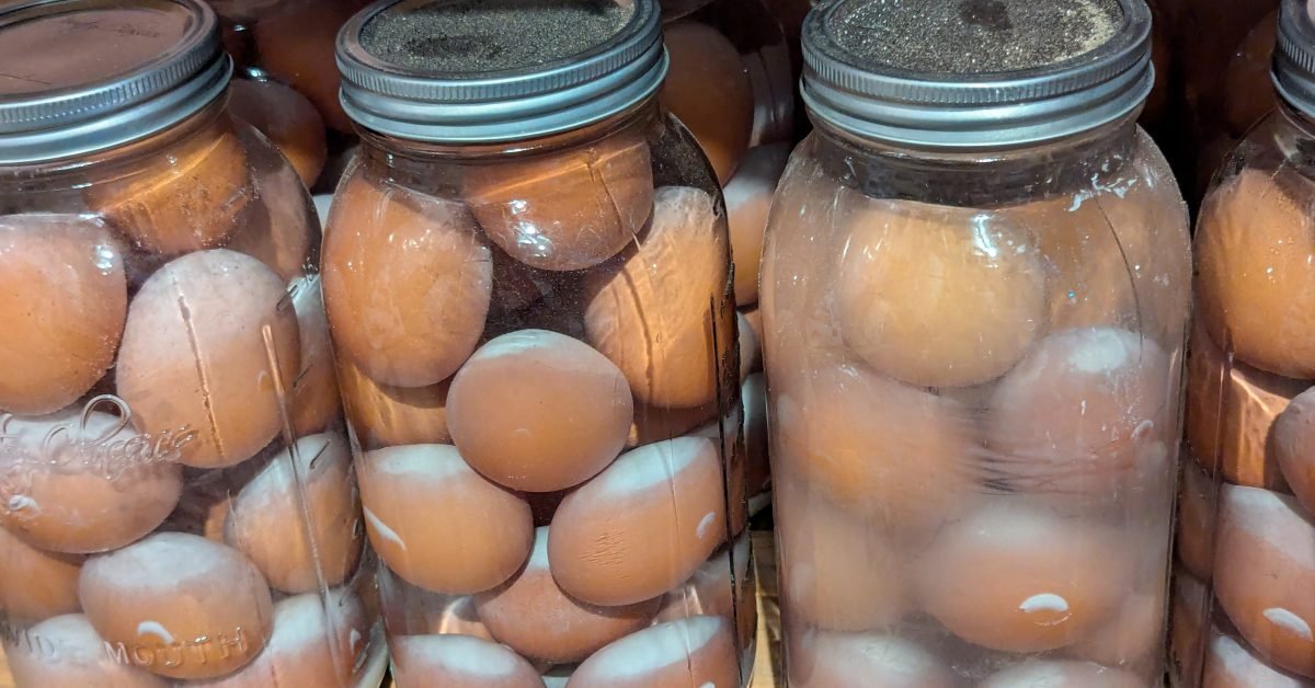 Water glassing eggs